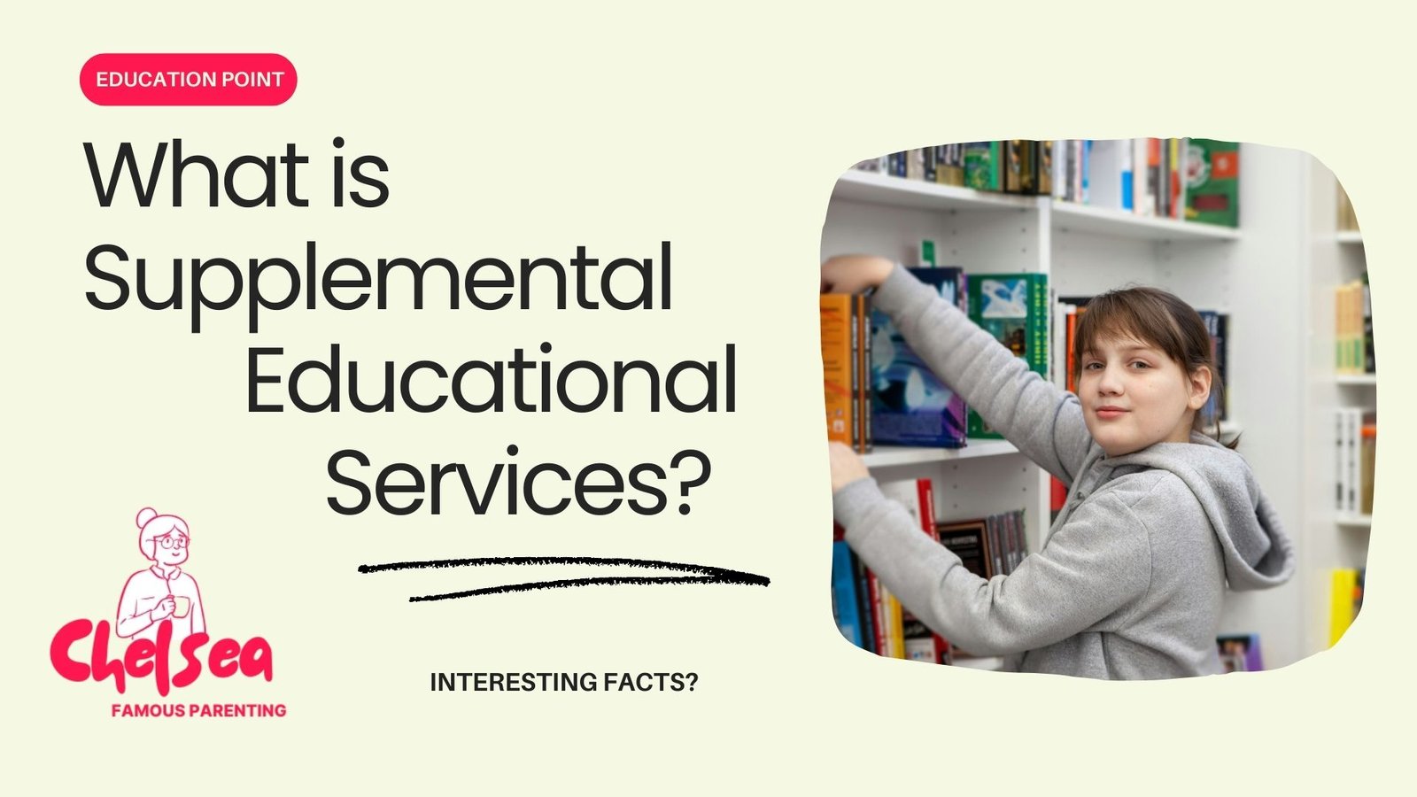 What is Supplemental Educational Services?